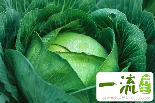 6种食疗方让男人屹立不倒