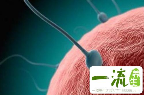 阴道的分泌物