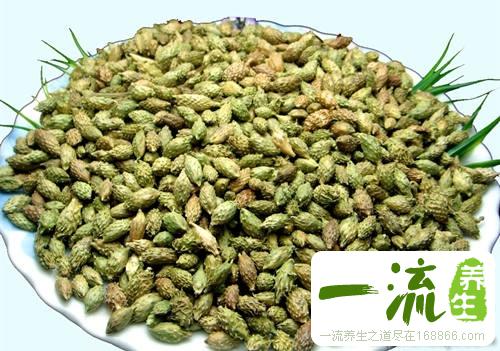 儿童过敏性鼻炎偏方