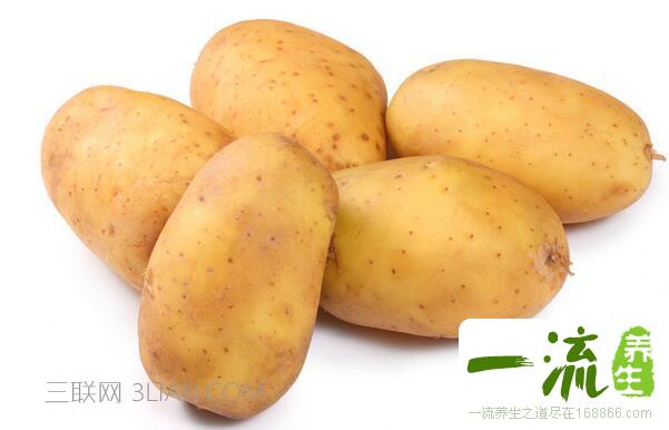 气虚吃什么食物能补气