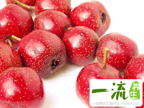 寒露节气多吃7种水果对身体好