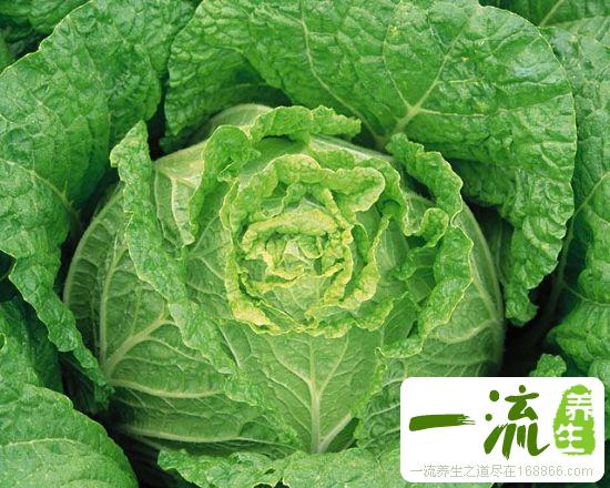 春季吃什么新鲜蔬菜最养生