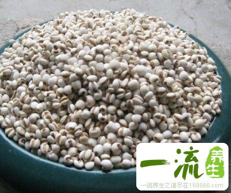 浦城薏米