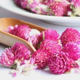 千日红花茶的功效与作用