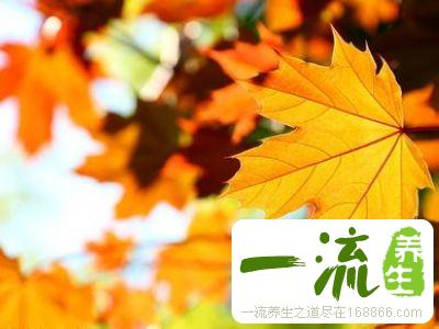 夏末初秋的七招养生法