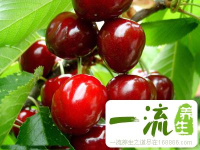 营养师饮食大揭秘 养生食物大盘点
