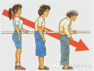 黑豆浆的功效与作用