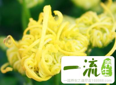 中医肝火大怎样调理 如何正确祛肝火