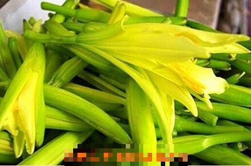 黄花菜有毒吗 黄花菜怎么吃最安全