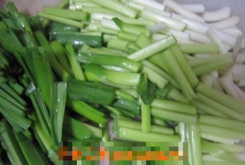 青蒜苗的营养价值 吃青蒜苗的好处