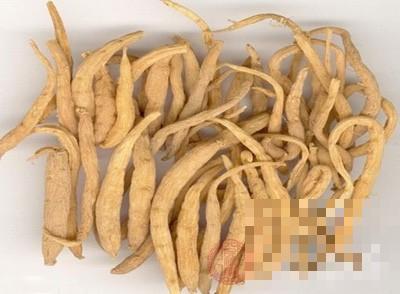 太子参 太子参的功效与作用及禁忌