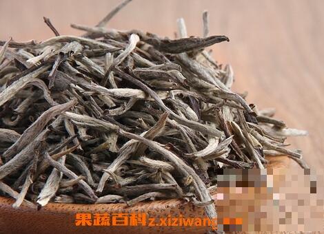 冲泡白毫银针的注意事项