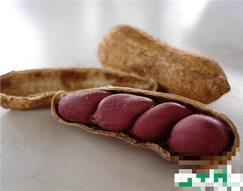 吃什么可以丰胸 丰胸食谱大推荐