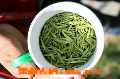 喝绿茶的功效与作用