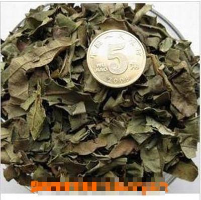 柿子叶茶的做法和功效 柿子叶茶能降血糖吗