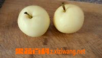百合雪梨汤的功效和做法
