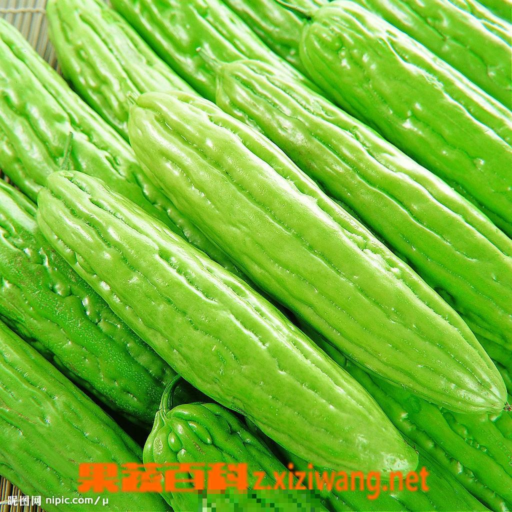 苦瓜的功效,营养价值和食疗价值