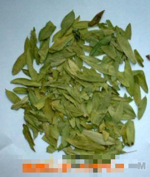 番泻叶的作用和功效
