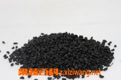 女贞子的功效与作用及食用方法
