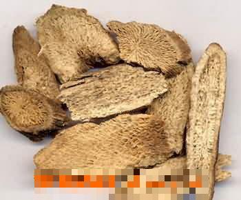 苦参的功效与作用有哪些？