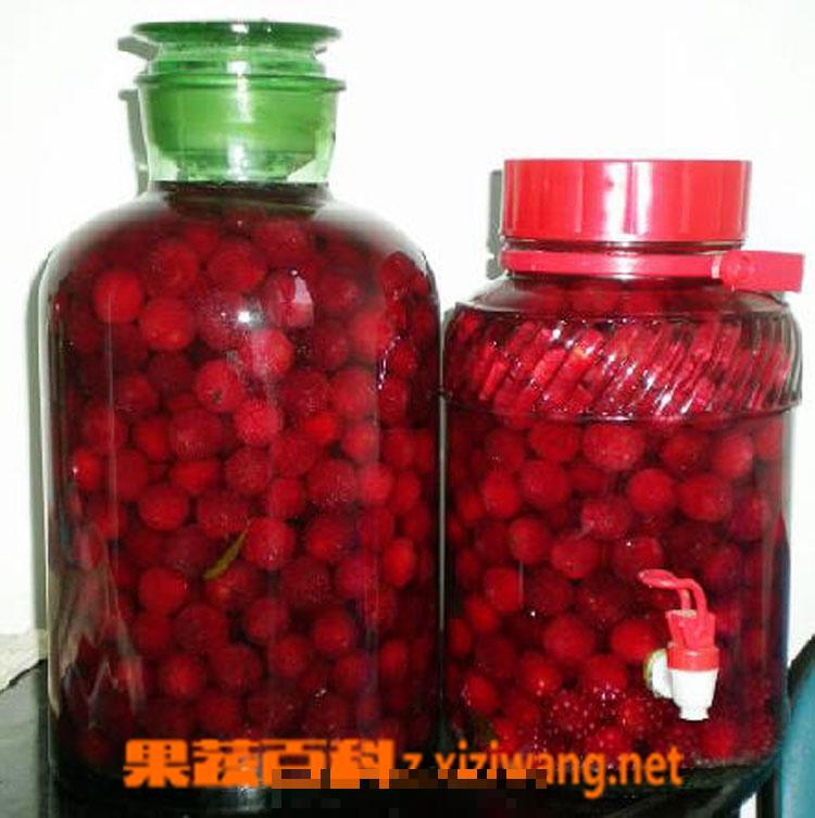 杨梅酒的功效 喝杨梅酒的好处