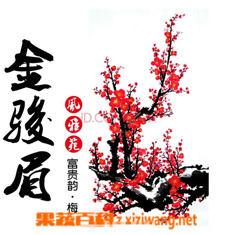 金骏眉桐木关红茶