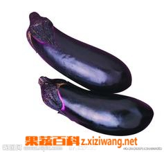 蒜茄子的腌制方法