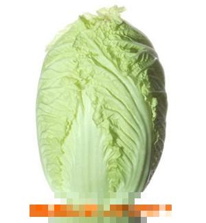 大白菜的营养价值