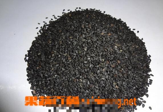 黑芝麻的功效与作用及食用方法