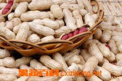花生的营养价值和功效作用