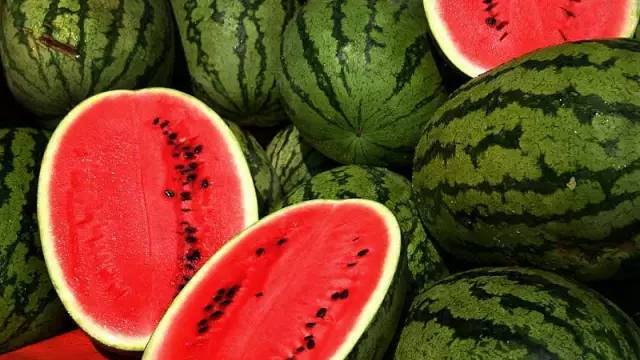 在家里这样种水果比花还好看 家里花盆可以种什么水果