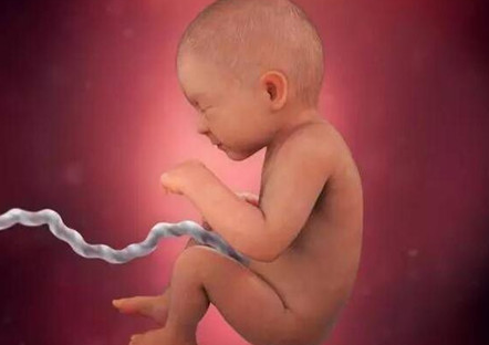 孕妇便秘能吃红薯吗 孕妇便秘胎儿会缺氧吗