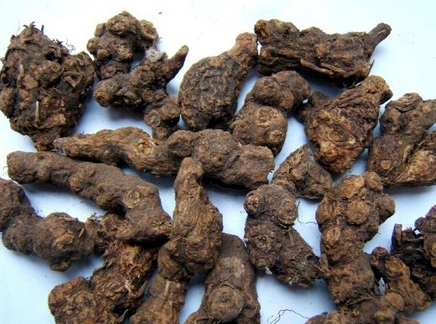 香附的功效与作用 香附的副作用是什么