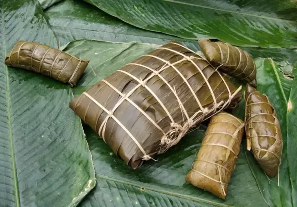芭蕉叶可以包粽子吗 用芭蕉叶包粽子步骤