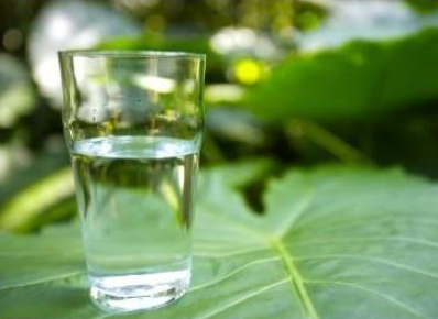 饿了喝水可以减肥吗 科学的喝水减肥法应该怎么做