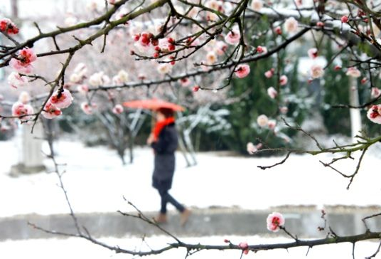 为什么春天会下雪 春天下雪什么兆头