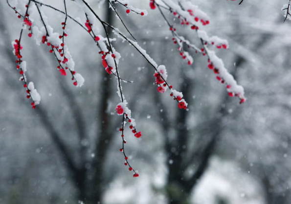 为什么春天会下雪 春天下雪什么兆头