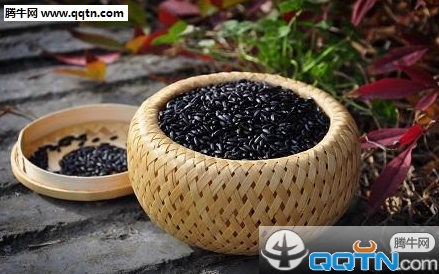 黑米减肥法是什么 黑米减肥法有用吗