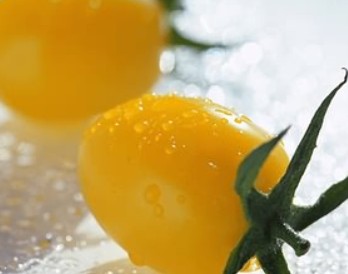 孕妇能吃转基因食品吗 转基因食品的危害