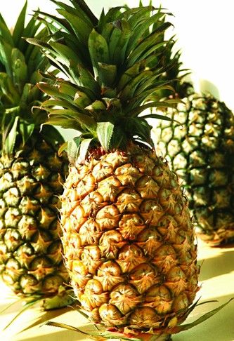 凤梨是菠萝吗 揭秘12类相似食物
