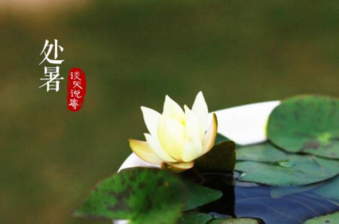 2017处暑后气温大约是多少度 2017处暑后的天气怎么样