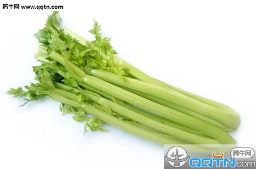 芹菜叶子能吃吗 芹菜如何保存