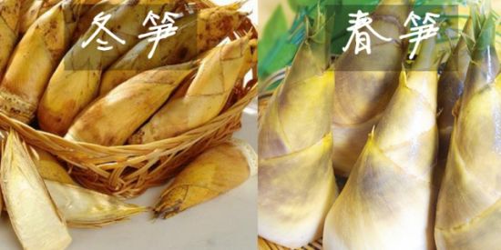 凤梨是菠萝吗 揭秘12类相似食物