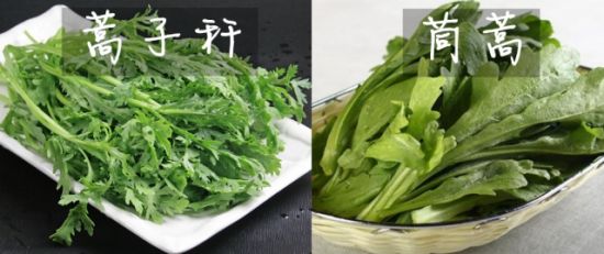 凤梨是菠萝吗 揭秘12类相似食物