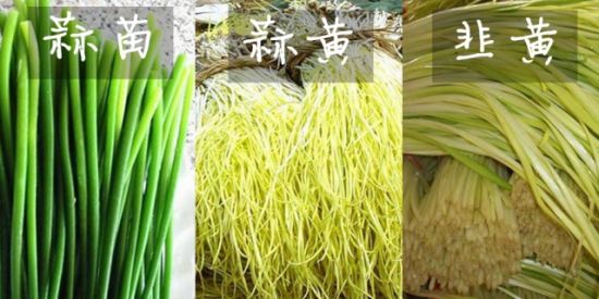 凤梨是菠萝吗 揭秘12类相似食物