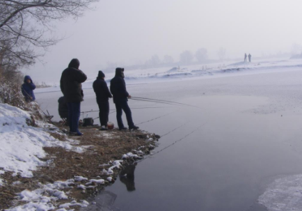 小雪节气后怎么钓鲫鱼 小雪节气钓鲫鱼的方法和技巧