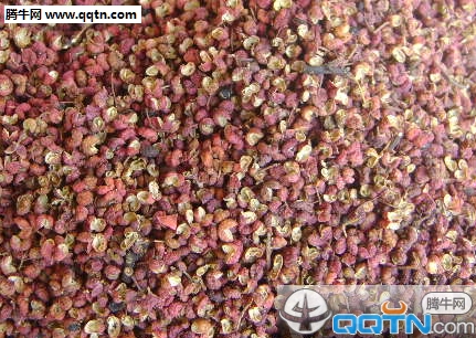 花椒粉怎么保存 花椒粉的功效与作用