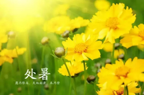 2017处暑后气温大约是多少度 2017处暑后的天气怎么样