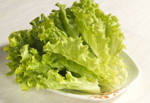 中秋节前后种什么蔬菜好 中秋节播种注意事项