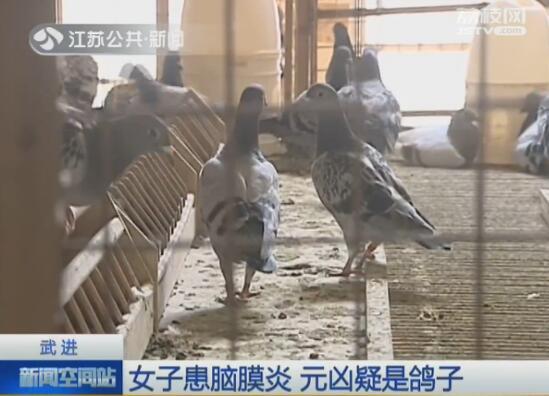 因为鸽子女子患脑膜炎 脑膜炎有什么症状